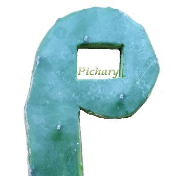 Pichary4's profile picture. Pichary® Social Media