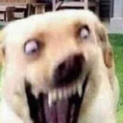 m33km33k69's profile picture. wack