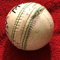 Central Michigan University Cricket (@centralmichiga3) 's Twitter Profile