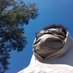 Jay (@jayreallah) Twitter profile photo Jay (@jayreallah) Twitter profile photo