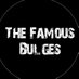 Famous Bulges (@TheFamousBulges) Twitter profile photo