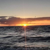 Dee Francis (@bunnymonette) 's Twitter Profile