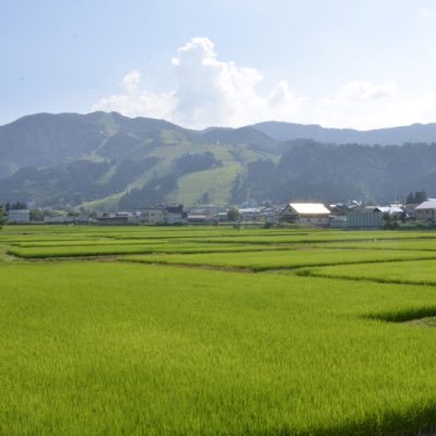 ASDの子供を育てています。起立性調節障害、偏食、感覚過敏。保育園へ行くのも嫌だったと判明し現在不登校中。小学校は行かずじまいかも。難儀な子育てですが、皆様の経験や情報に助けられています。