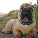 Natalie - @natalie74visser - Twitter