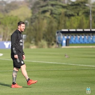 leokingRR's profile picture. Try To Honesty