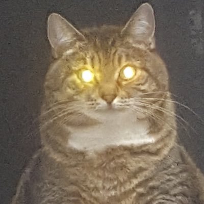 Vorchen's profile picture. 外人ですよ。こちらのアカウントは大体エッチな動画と画像を集まるために作りました。背が180センチ、したは14センチ直径46ミリくらい