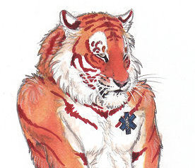 TgerFoxmark's profile picture. 