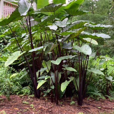 TweetBethG's profile picture. Everything is awesome!