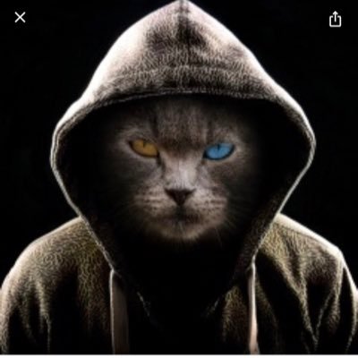 StrayBipolarCat Profile Picture