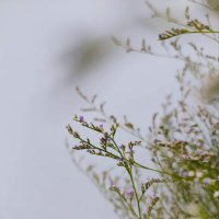 An Nhiên (@dienmayhaiminh) 's Twitter Profile