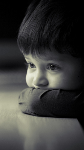 Palash000's profile picture. 