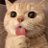 四季報さんのアイコン
