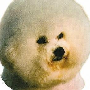 れんたかさんのプロフィール画像