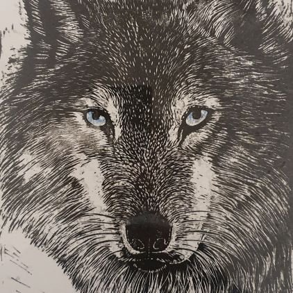 drwwalter's profile picture. General Practitioner working in the NHS, UK; special interests: Integrative Medicine, Medical Acupuncture, Nutritional Medicine, Vit D