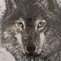 Dr Wolfgang Walter MD MRCGP (1999) (@drwwalter) 's Twitter Profile