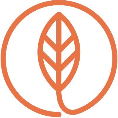 En Trebe creamos hogares al alcance de todos, los dotamos de espacios y servicios que se adaptan a las necesidades actuales. Desarrollamos espacios vibrantes pa