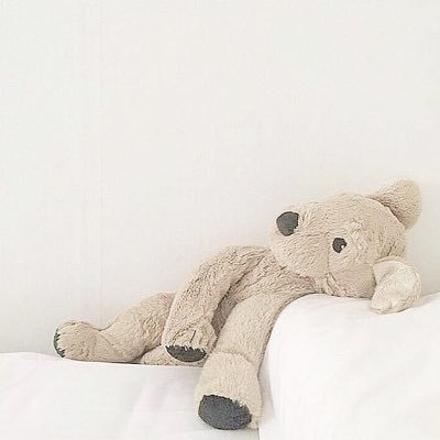 omaewadaseda421's profile picture. 諦めました