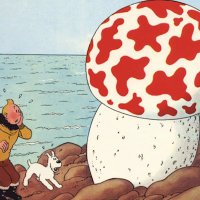 distressedmushroom (@distressedmush) 's Twitter Profile
