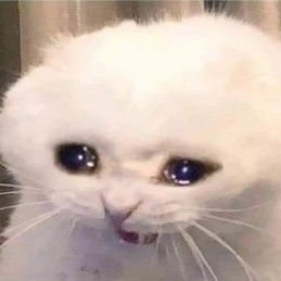 imanfgf's profile picture. 