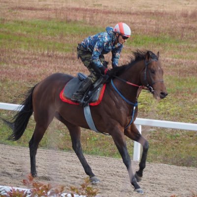 夕陽丘中➡︎大阪桐蔭高➡︎中央大 長距離ランナー🏃でした。馬乗りの仕事です🐴