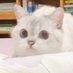 ` (@hiddenrx) Twitter profile photo ` (@hiddenrx) Twitter profile photo