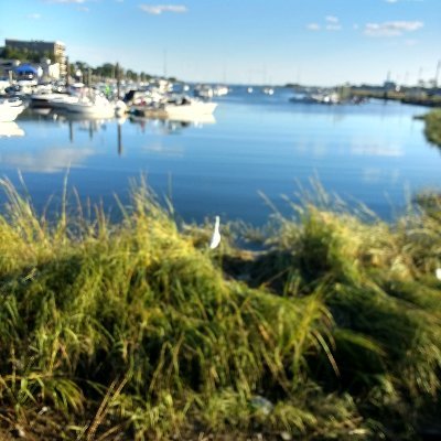 ChristineLBowe1's profile picture. Devoted to worldwide peace, justice, and equality