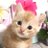 ゆず🐈甘えん坊のマンチカンのアイコン