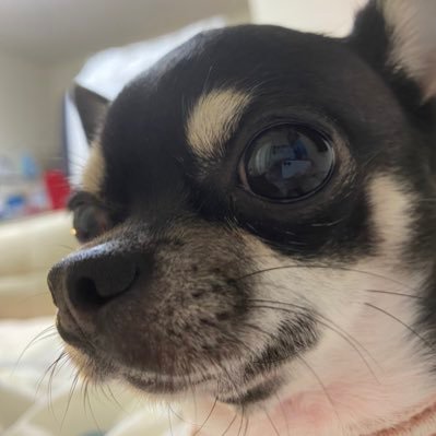 azitonn's profile picture. 南の方で先生してます