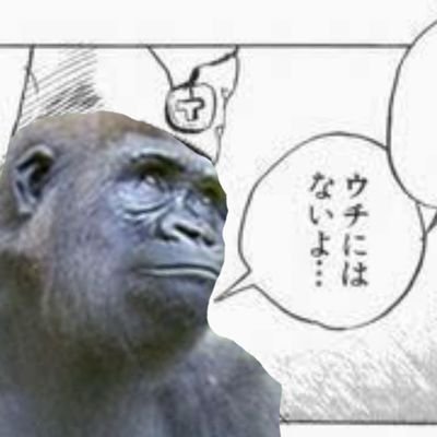 シノアリスとマスターデュエルをのんびりプレイしてます!!!
やってる人フォローしてくれたらほいほい見に行きます♪