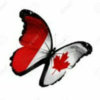 Deb GREER (@debgreer5) 's Twitter Profile Photo
