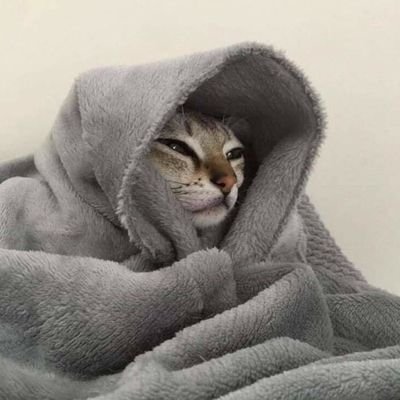 itschiyokos's profile picture. 