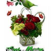 A Kumar (@akumar89778073) 's Twitter Profile