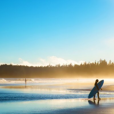 Beach Profile