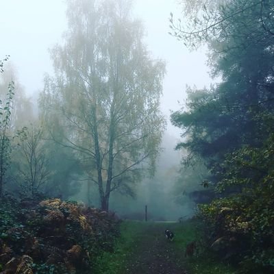 Jcstevenson317's profile picture. Proud principal and passionate advocate of high quality education. Views expressed are my own. Mother of two, spaniel owner.