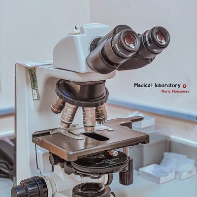 SultanS74167076's profile picture. Aspire to inspire before you expire.

He who fears god, fears nothing else.