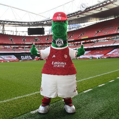 I'm Arsenal's Official Club Mascot. I tweet about my life at Arsenal