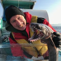 LostSharkGuy (@lostsharksguy) 's Twitter Profile Photo LostSharkGuy (@lostsharksguy) 's Twitter Profile Photo