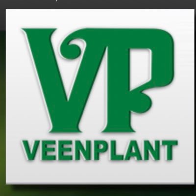 Veenplantbv's profile picture. Veenplant Wholesale 🌻
Middenweg 21
4281 KH Andel