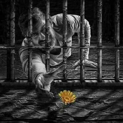 Aosm28239622's profile picture. كل جدار آيل للسقوط في لحظة حرجة 
فلا تستند على أحد !!

🙂