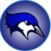 SDOW EdTech (@sdowedtech) Twitter profile photo SDOW EdTech (@sdowedtech) Twitter profile photo