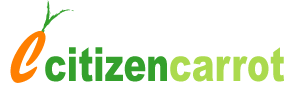 Consumer organizing in Bellingham - drive businesses to make socially responsible choices and reward them with our business.