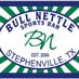 Bull Nettle Sports Bar (@BullNettleBar) Twitter profile photo