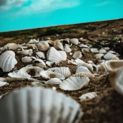 Amoureux de photographie passionné de belle couleur je fais des photos de partout ou je me trouve et j’y ajoute ma touche personnelle,merci de vous abonnés ❤️😉