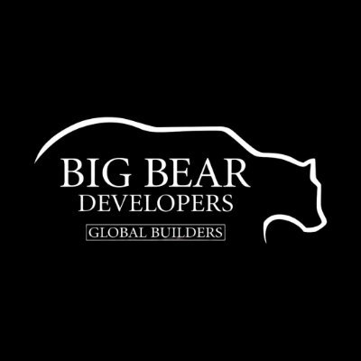 BigBearDev Profile Picture