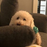 Derderdenkt (@derderdenkt1) 's Twitter Profile