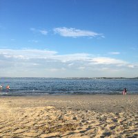 Pug19 (@lorlh) 's Twitter Profile