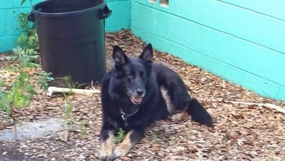 Otis67688940's profile picture. me