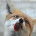 thefox738 (@thefox738) Twitter profile photo thefox738 (@thefox738) Twitter profile photo