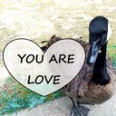Susan Johnston - @suzyinsb - Twitter
