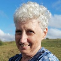 DeboraSinger (@deborasinger1) 's Twitter Profile